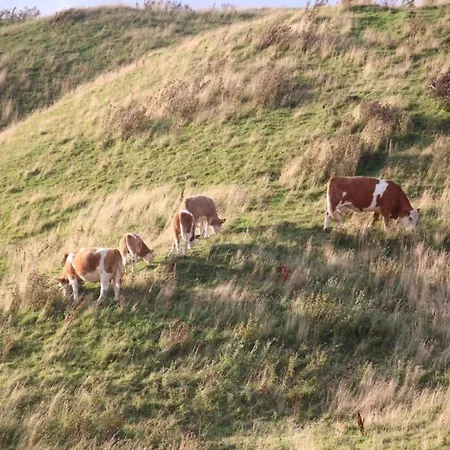 Beautiful And Amazing View - 3 Bedroom 펜션